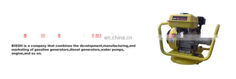 BISON CHINA Robin EY20 Concrete Vibrator Concrete Vibrate Hose