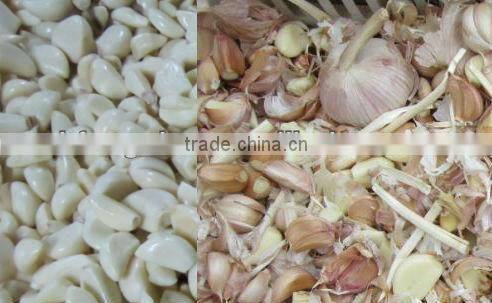Garlic Slices Color Sorting