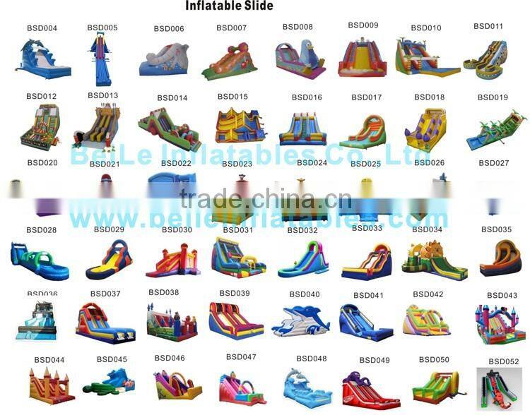 8mL Giant Dolphin Inflatable slide