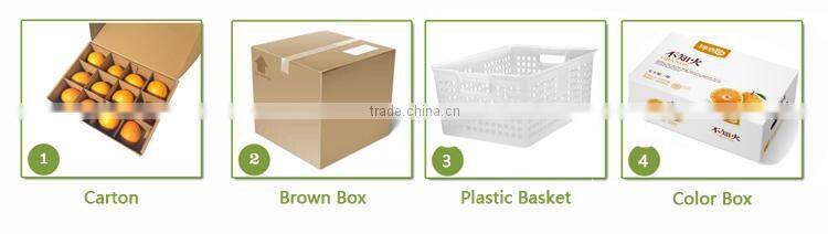 Good price and highly nutritive Walnuts for sale