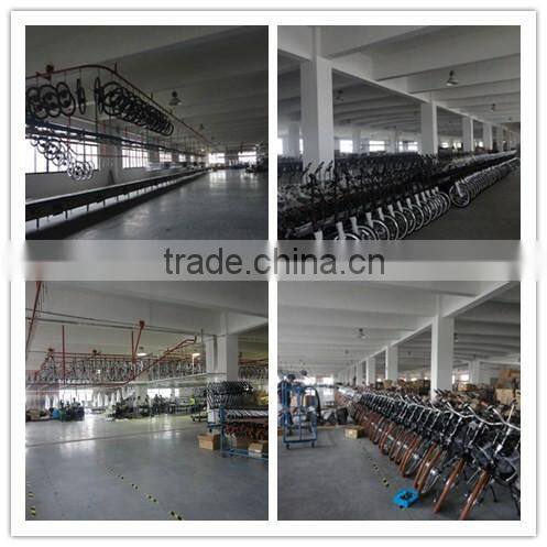 Knight electric bicycle with rear suspension