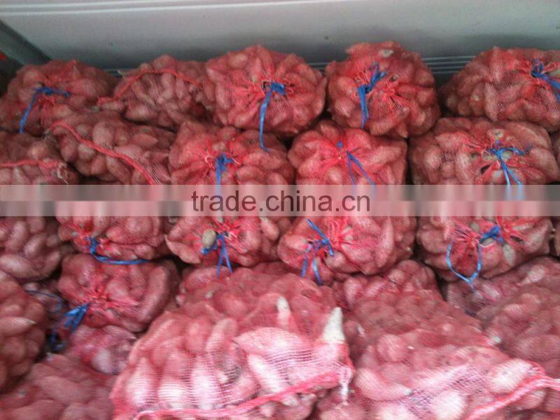 HIGH QUALITY JAPAN SWEET POTATO