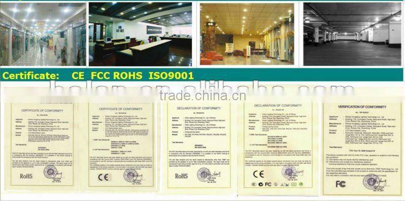 induction lamp downlight fitting