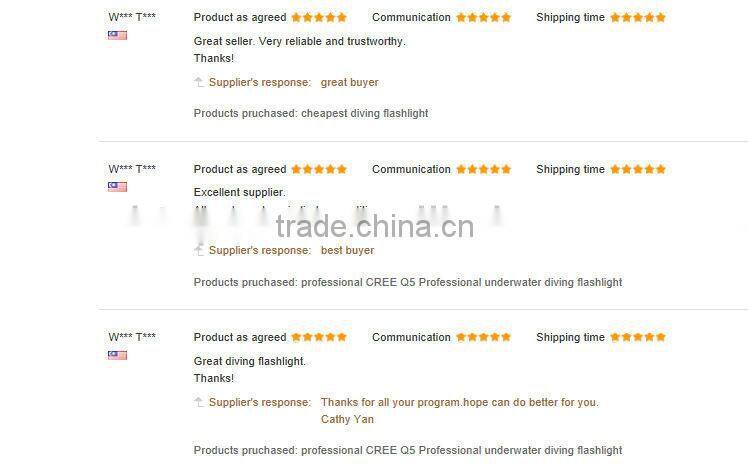 Portable Camping 4 LED Crank Dynamo LED Lamp