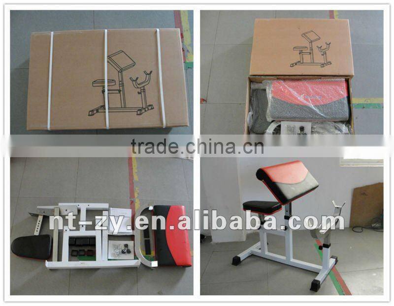 Biceps & Triceps Machine