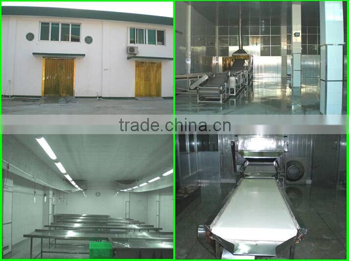 Frozen Kosher Tilapia Fillet