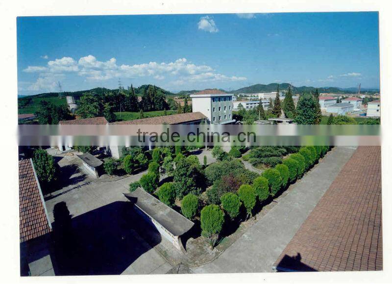 Brewing China green tea gunpowder 9375 zhejiang tea stock 2013