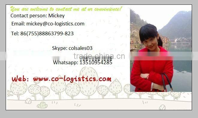 Courier service from China to Morocco-Mickey's skype: colsales03