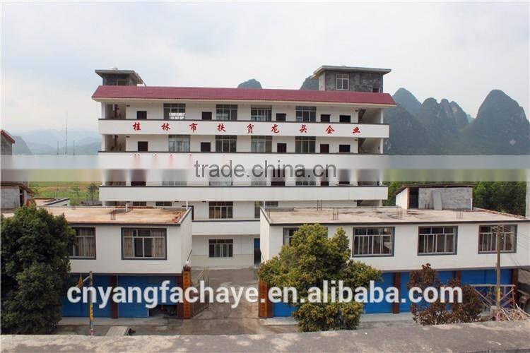 High quality Natural Flavor Sweet Green Tea