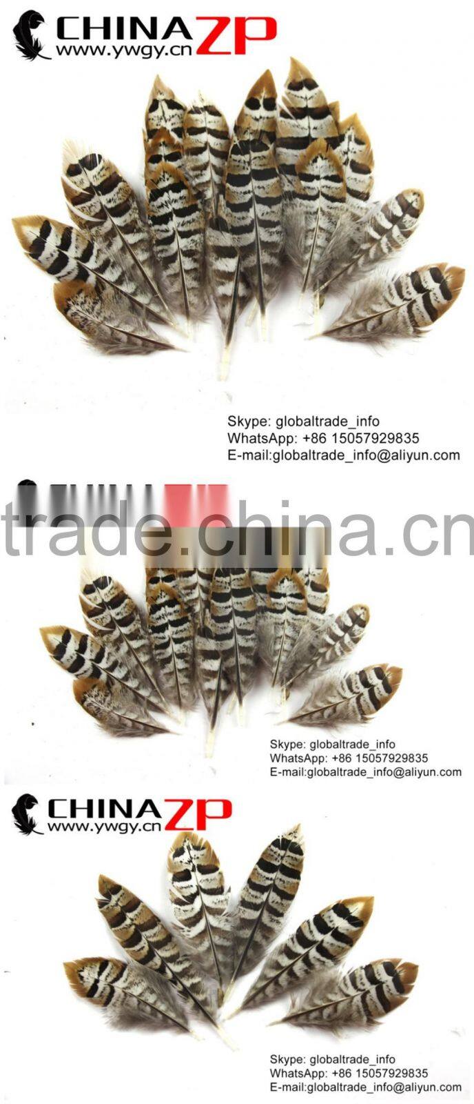 CHINAZP Bulk Sale Selected Prime Quality Natural 5-10cm Size Reeves Venery Pheasant Feathers for DIY Decorations