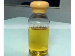 MORINGA SEED OIL