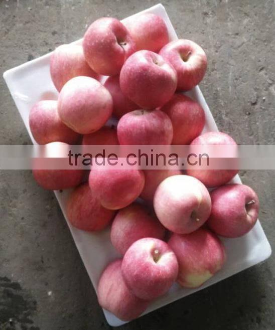 88# Fresh fuji apple