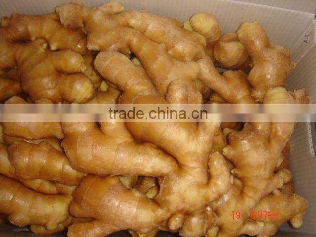 Organic fresh ginger