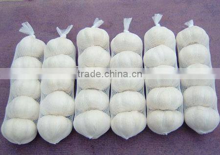 Dehydrated vegetable air dried white garlic