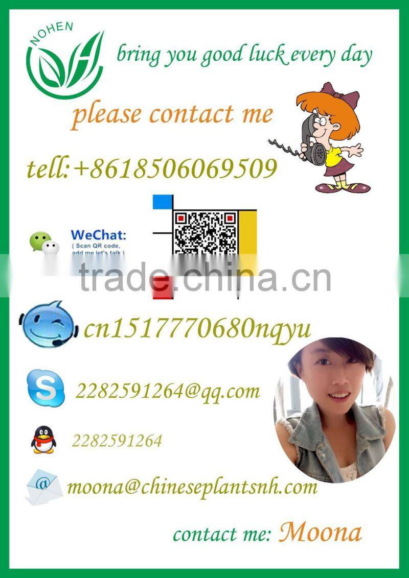 Ficus Ginseng Bonsai Trees