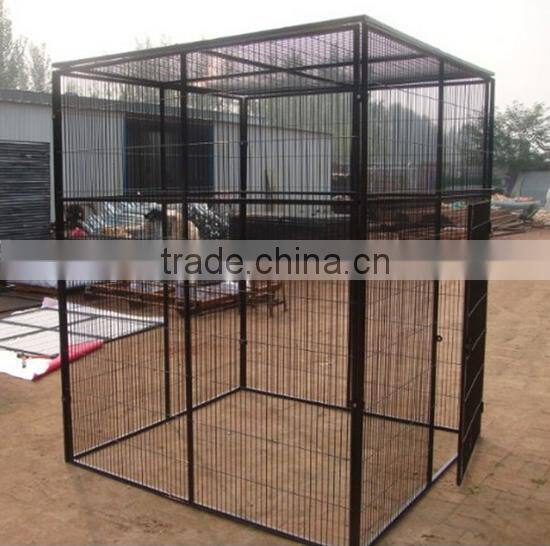 Walk in parrot enclousure cage yard extending from conservatory cat aviary welded run cage