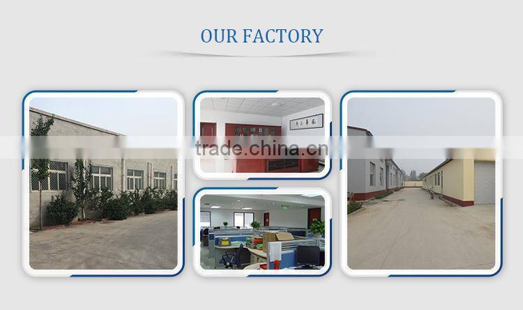Stainless Steel Pvc Coated Chain Link Fence For Playground
