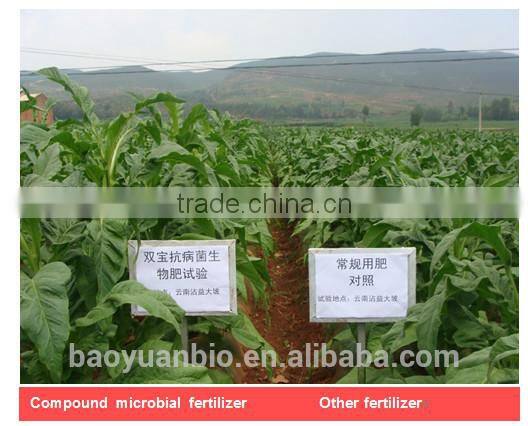 Biological Microbial Compound Fertilizer With Organic Matter