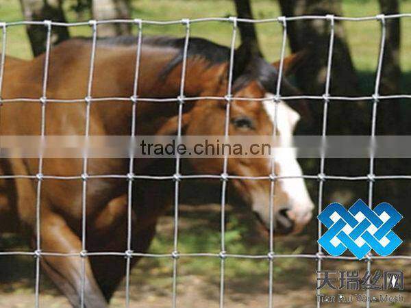 galvanized iron grassland fence / galvanzied grassland fence / cattle fence