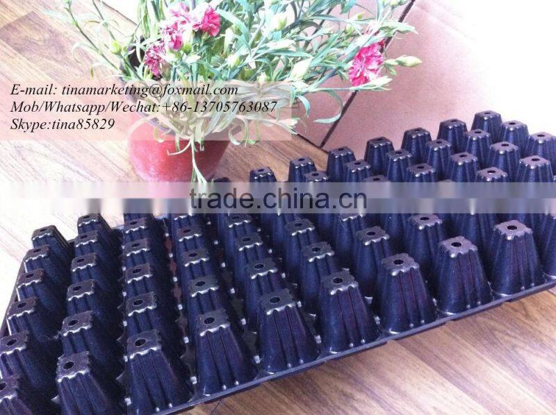Black PS Material 72 Cell Plastic Tomato Nursery Seed Planting Germination Tray for Farming