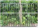 Aluminum fences Garden Pool Custom Decorative metal Fences