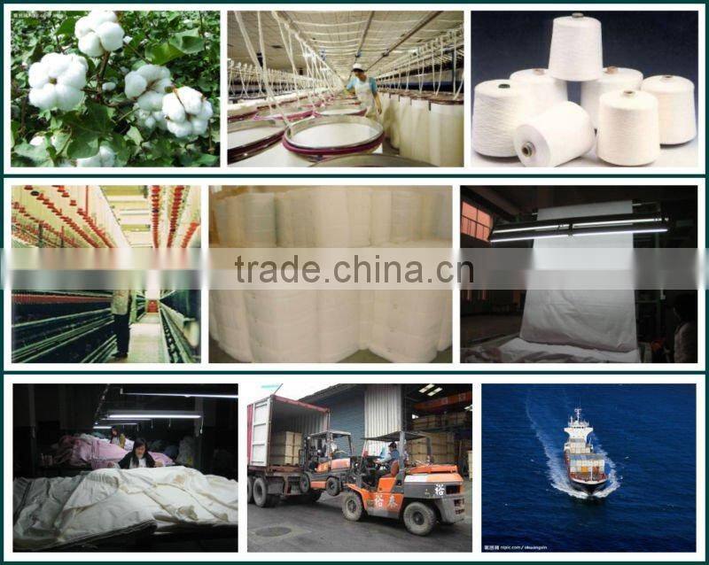 2012 new cotton spandex fabric