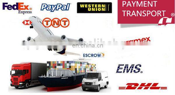 2015 new fashion sexy hot design underwear Glossy V bikini women panty