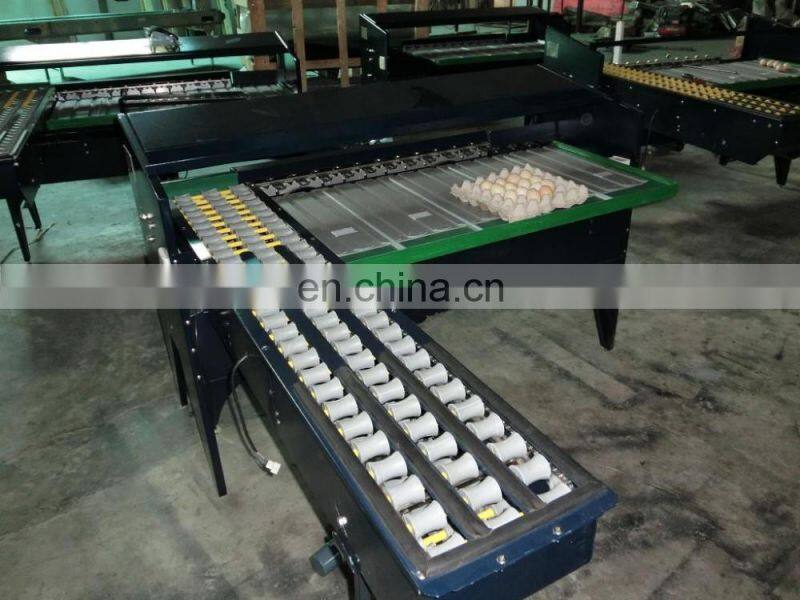 Commercial Farm Stainless Steel Egg Cleaner Grading Automatic Packing Machine