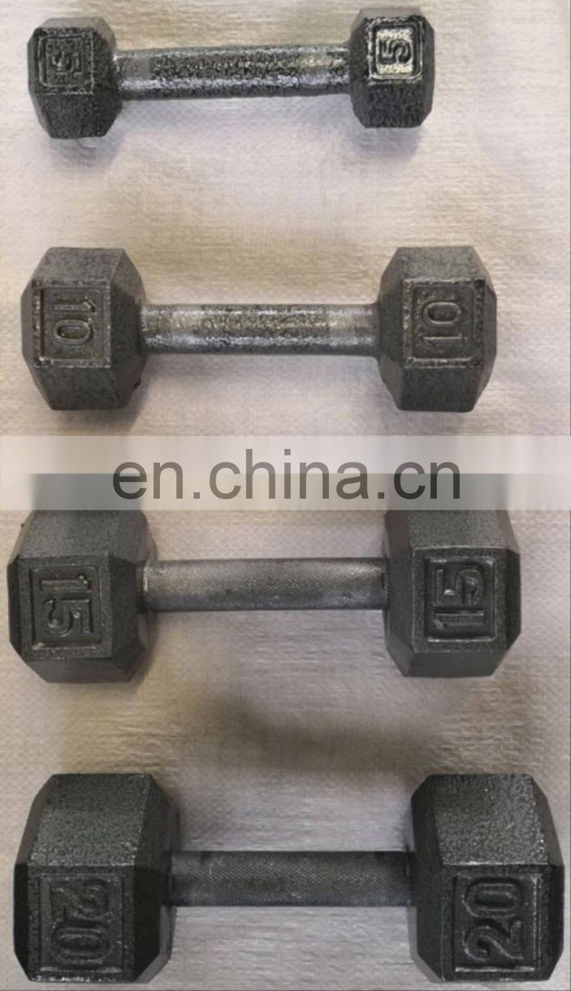 Professional New Style Gym Fitness Equipment Dipping Gym dumbbell set