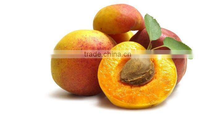 sun dried apricot