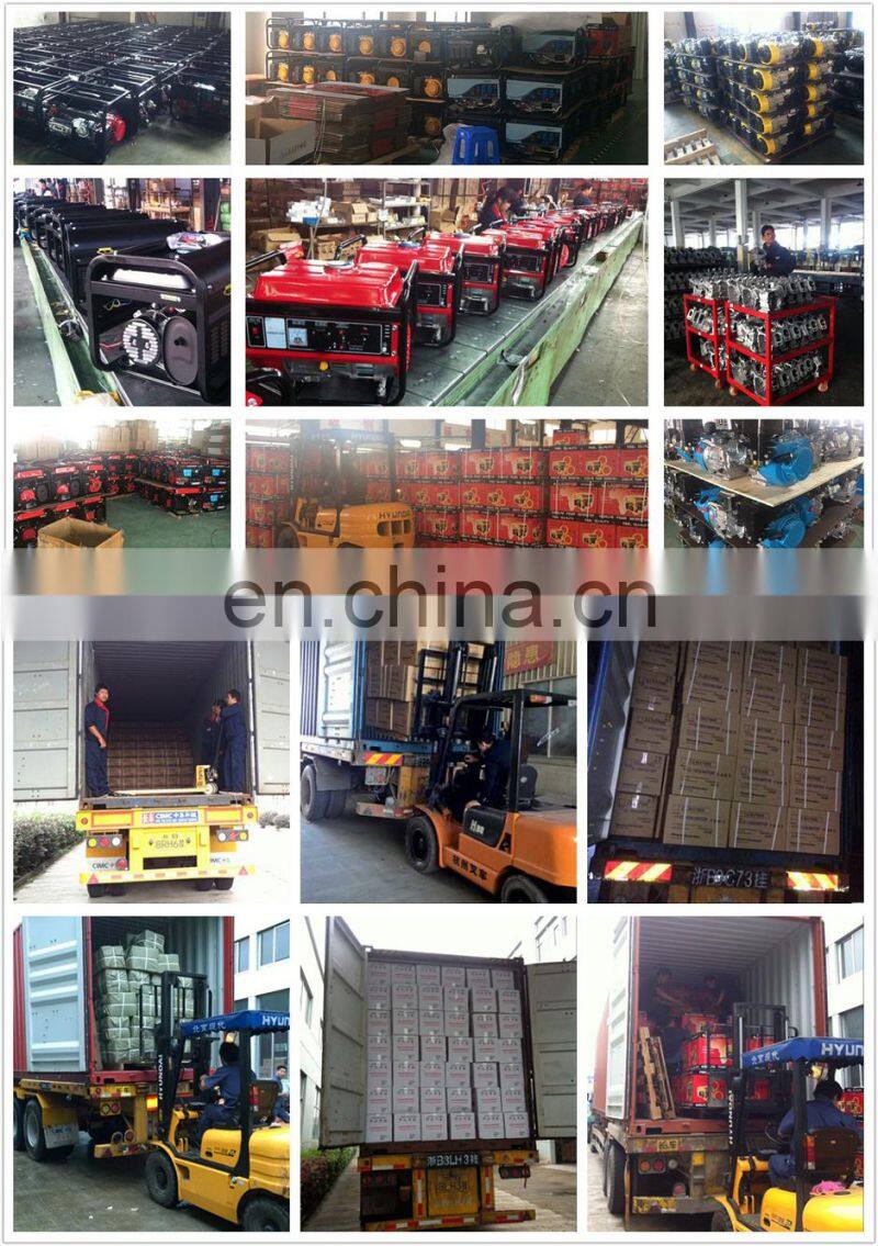 BISON China Find Champion Hot Sale Portable 5KW Generator from China