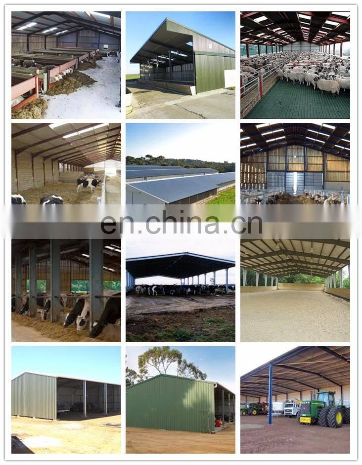 China Cheap Metal Frame Prefabricated Steel Structure Workshop Shed Building