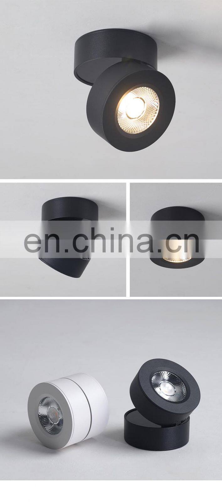 Surface Mounted Metal LED Black And White Ceiling Lamp Nordic Cloakroom Decoration Ceiling Lighting