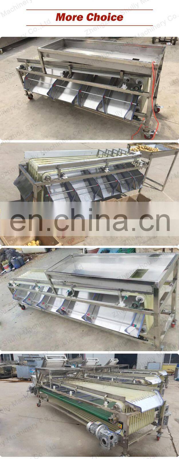 citrus fruit sorting machines from Elva