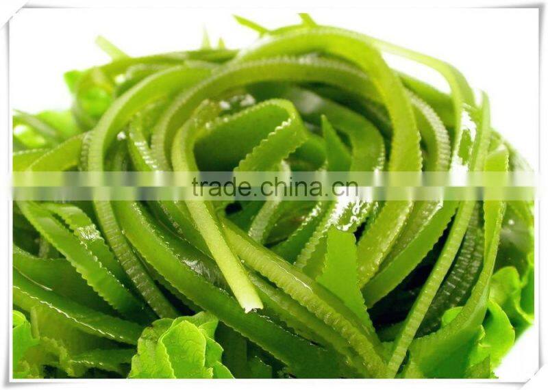 Sun Dried kelp cut shredded seaweed laminaria food