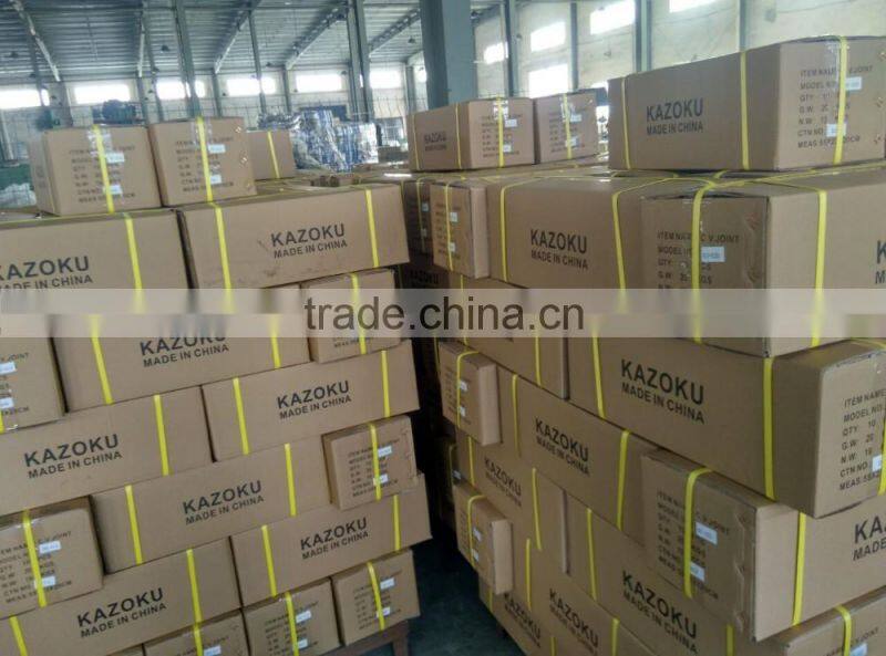 Engine parts tensioner pulley 06004123, 10070000, 10187658 for BUICK, PONTIAC, CHEVROLET