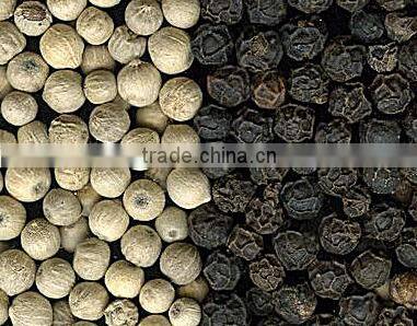 Vietnam black pepper (a good bargain)
