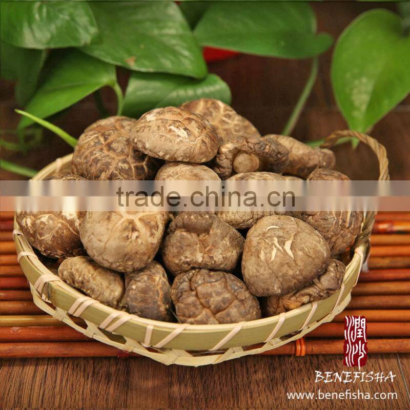 Dried Shiitake Mushroom without Stem(Tea Flower)