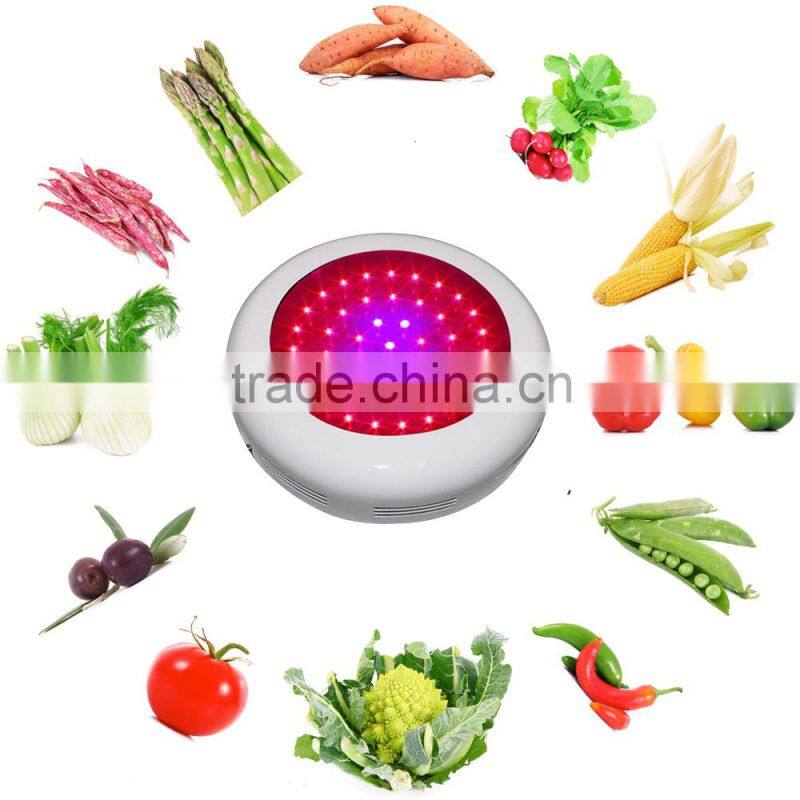 Sunlight Greenhouse LED Lighting 135 Watt