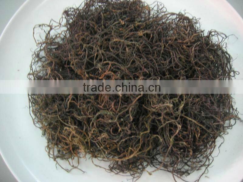 GRACILARIA SEAWEED IN NEW CROP 2014 WITH BEST PRICE