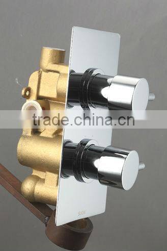 Concealed Shower Taps Dual Handles Thermostatic Shower Valve