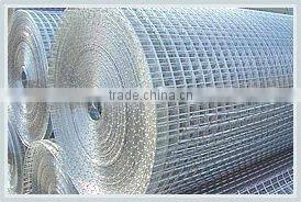 50X50mm Electro Galvanized Welded Wire Mesh Panel