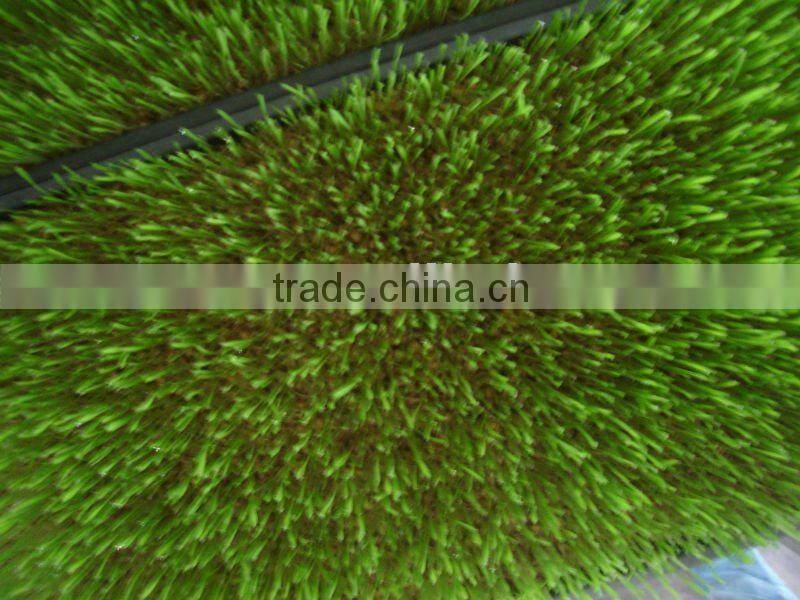 Bean /Wheat Seeding/Animal Fodder Machine