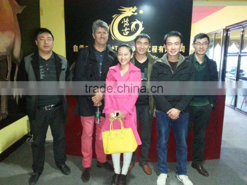 VGD-706 Simulation Animal duck for Museum,theme park, amusement park,mall,activities,events