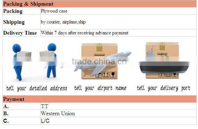 Stainless Steel potato washing and polishing machine