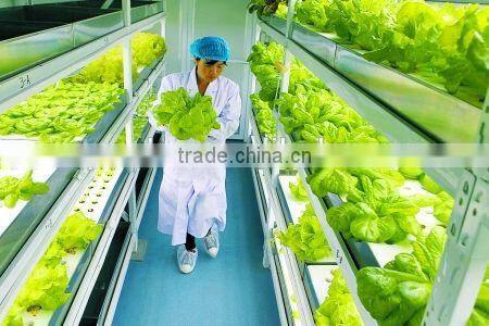 Induction Lamp Light Source For Plants 300w With Ballast