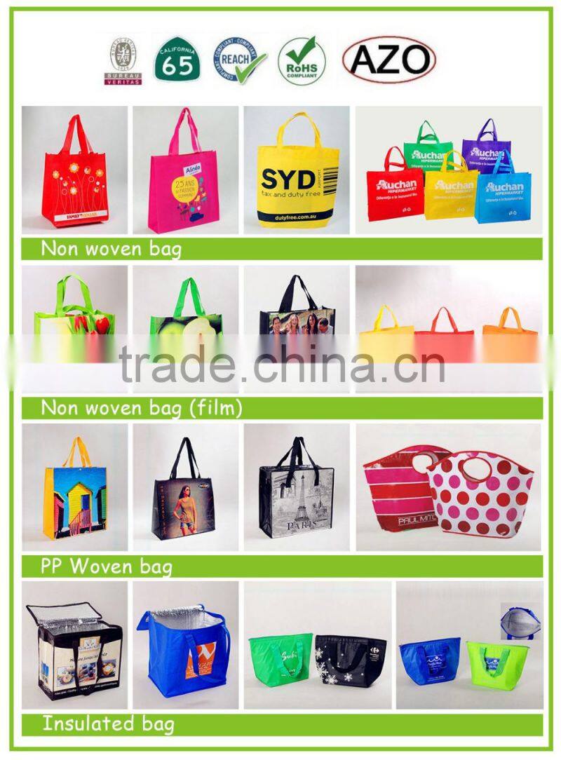 Fashion Design Laminated Heat Seal Promotional Pp Woven Shopping Bag