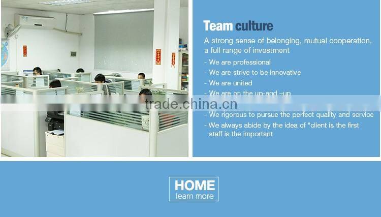 China Factory Car Body Filler Metal Repair Putty