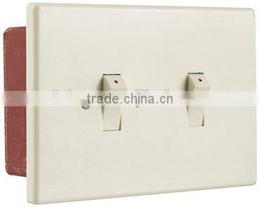 Japanese standard switch