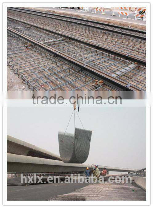 Electric galvanized or hot dipped galvanized welded wire mesh in roll or panel